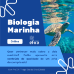 Descubra o fascinante mundo do curso de Biologia Marinha