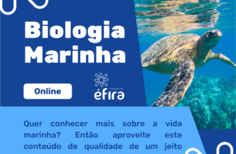 Descubra o fascinante mundo do curso de Biologia Marinha