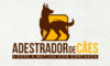 Aprenda a ser um adestrador de cães profissional