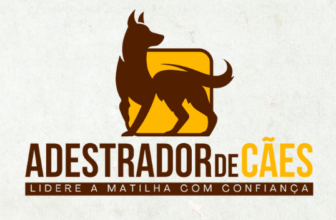 Aprenda a ser um adestrador de cães profissional