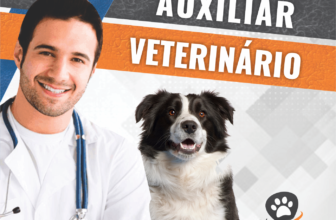 Descubra como o Curso Auxiliar Veterinário pode mudar sua carreira